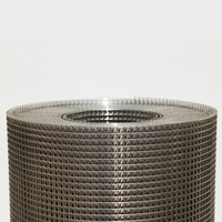 Stainless Steel Welded Wire Mesh