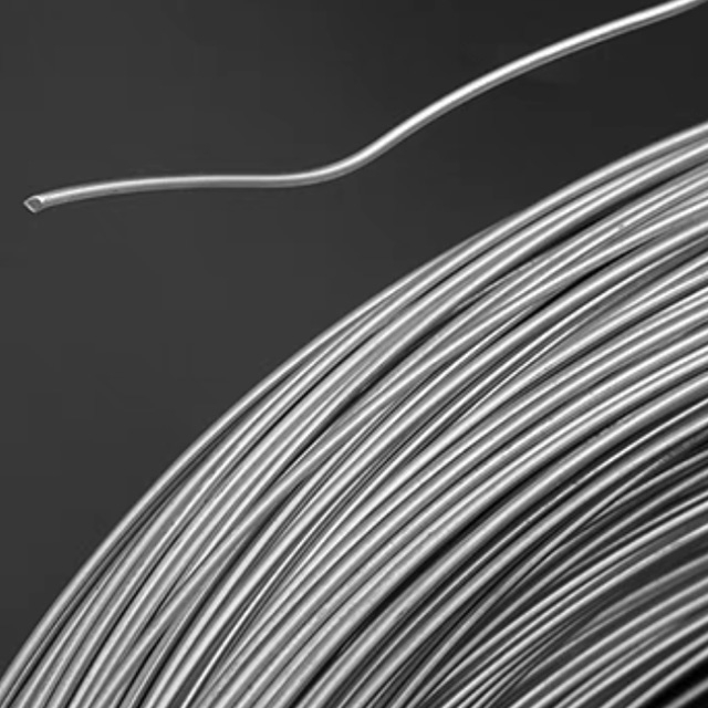 Stainless Steel Wire